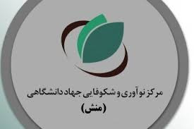 وبینار دومین جلسه شورای پذیرش و سرمایه گذاری مرکز نوآوری و شکوفای هرمزگان برگزار می شود